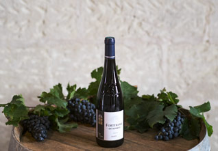 Vin rouge de Saumur